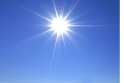 zon